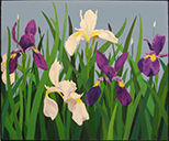 Irises, Oil painting